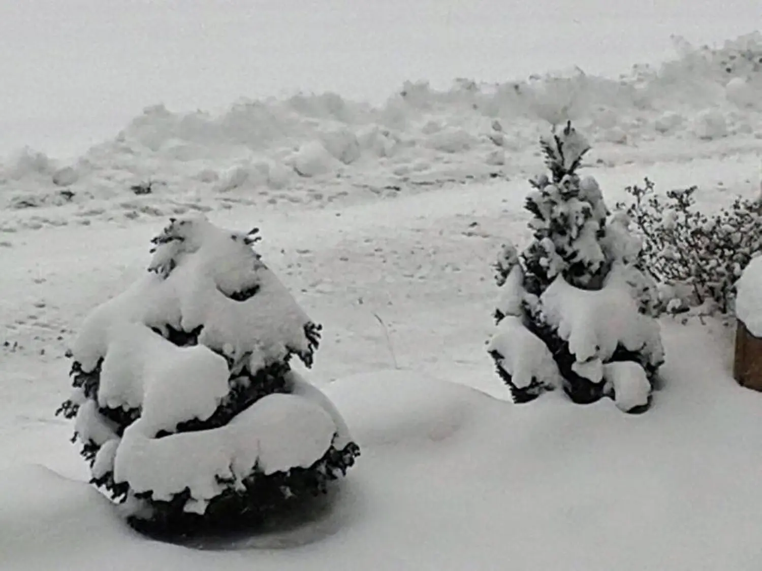 Winterbilder von Landidyll Breitenbrunn Erzgebirge