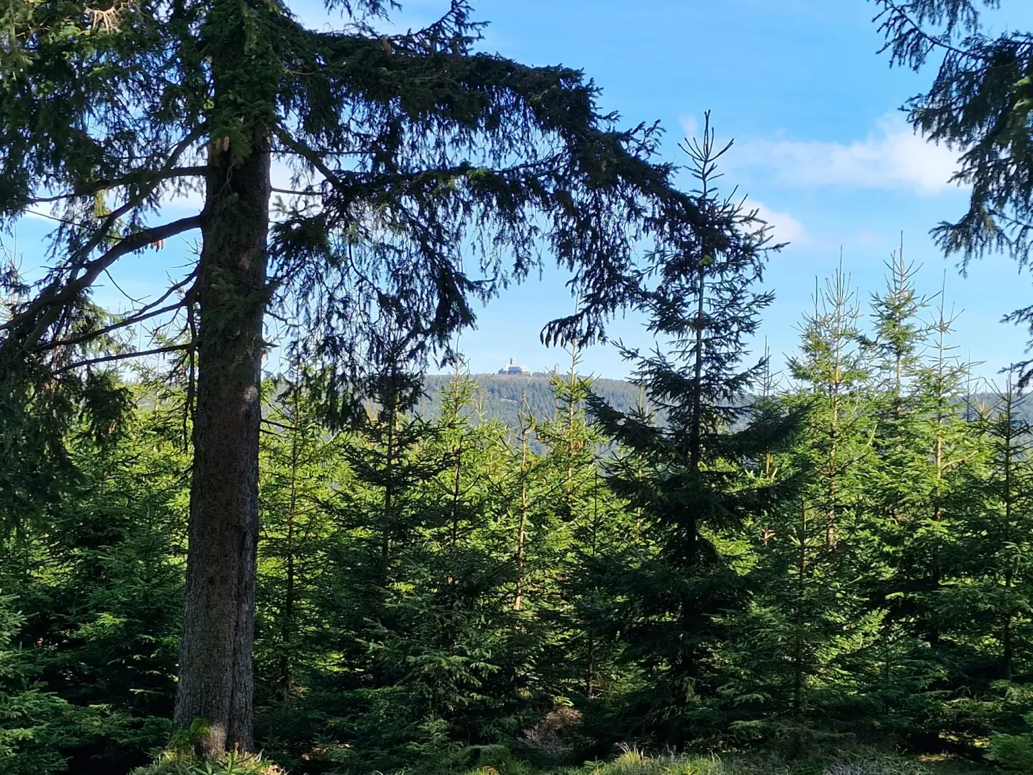 Sommerbilder von Landidyll Breitenbrunn Erzgebirge